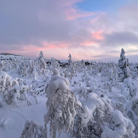Villa Haukka Saariselkä Eksteriør billede