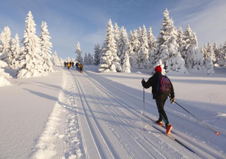 Villa Haukka Saariselkä Eksteriør billede