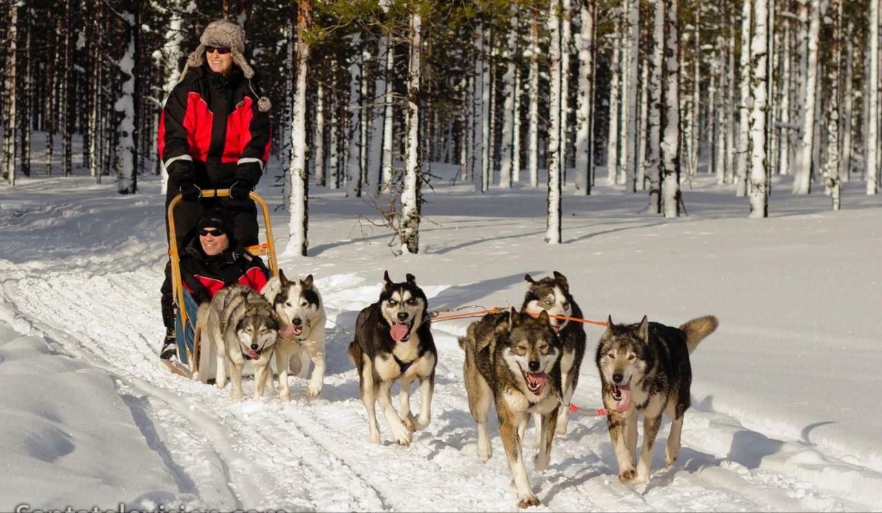Villa Haukka Saariselkä Eksteriør billede